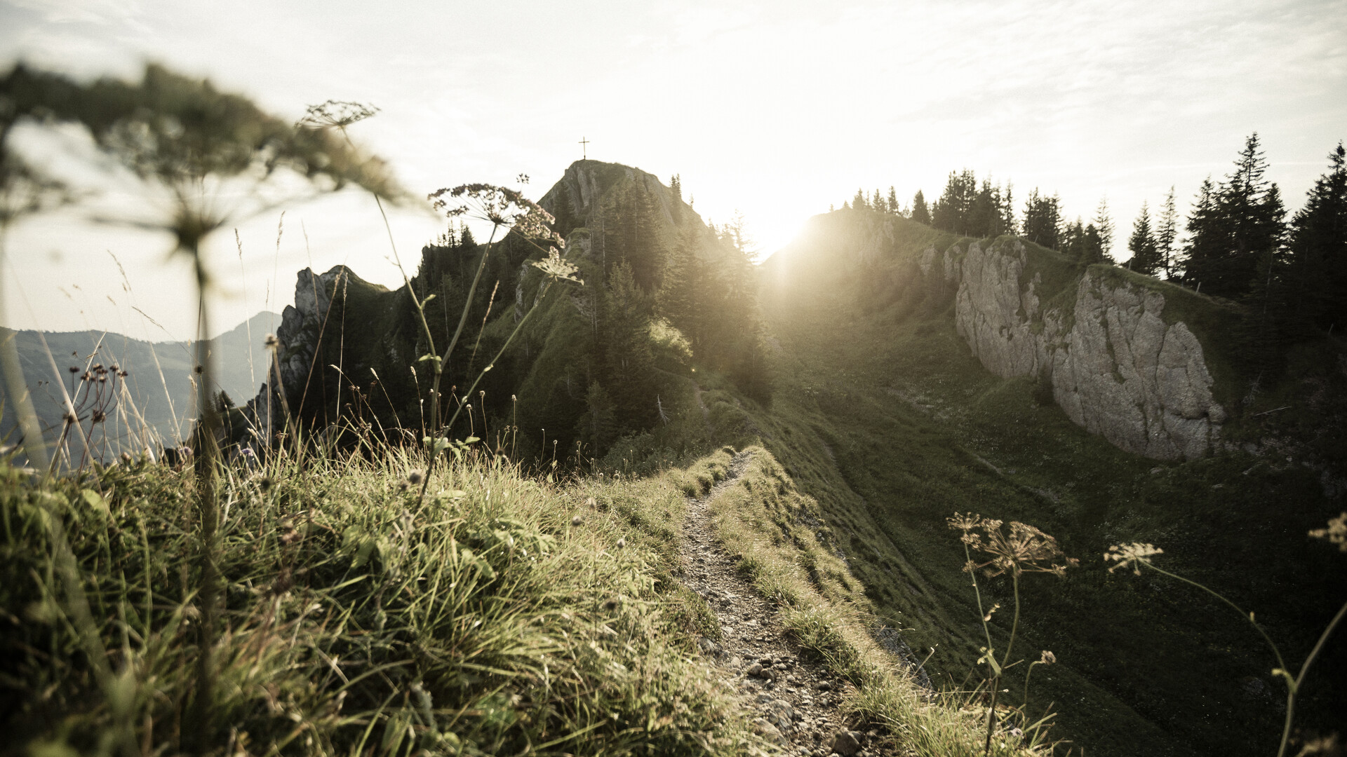 Summer Vacation in the Allgäu with Wellness in the Mountains at HUBERTUS