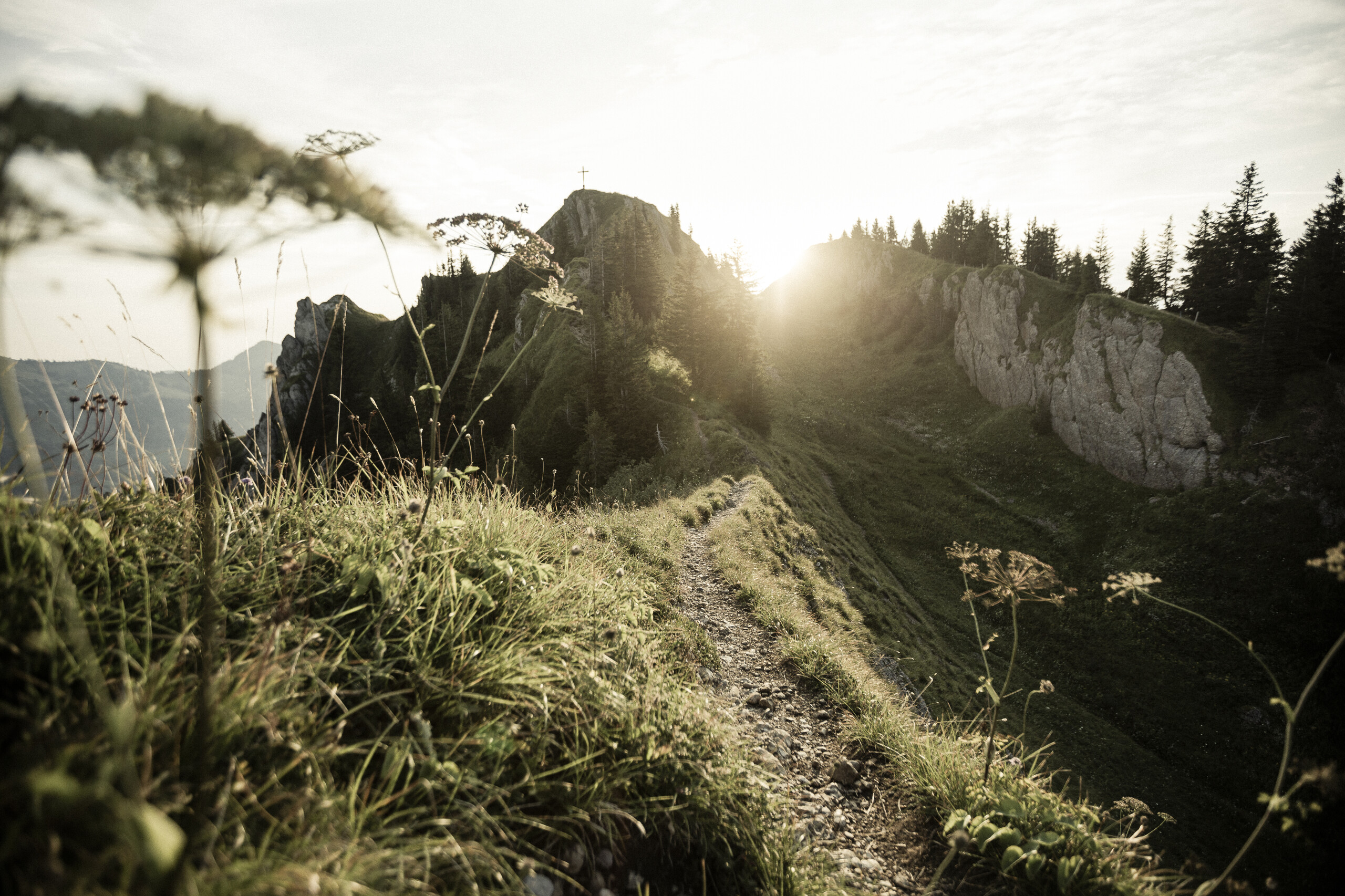 Gipfel im Sonnenaufgang des Siplinger Kopfs im Balderschwanger Tal