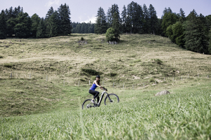 Urlaub mit dem E-Bike im HUBERTUS Mountain Refugio Allgäu