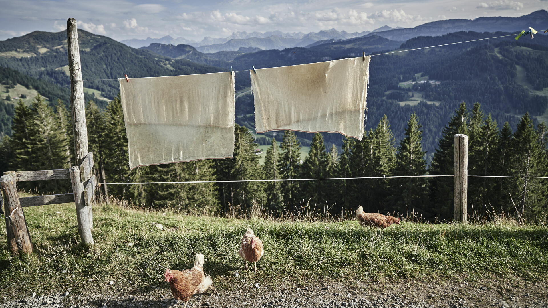 Heimatgenuss im HUBERTUS Mountain Refugio in Balderschwang