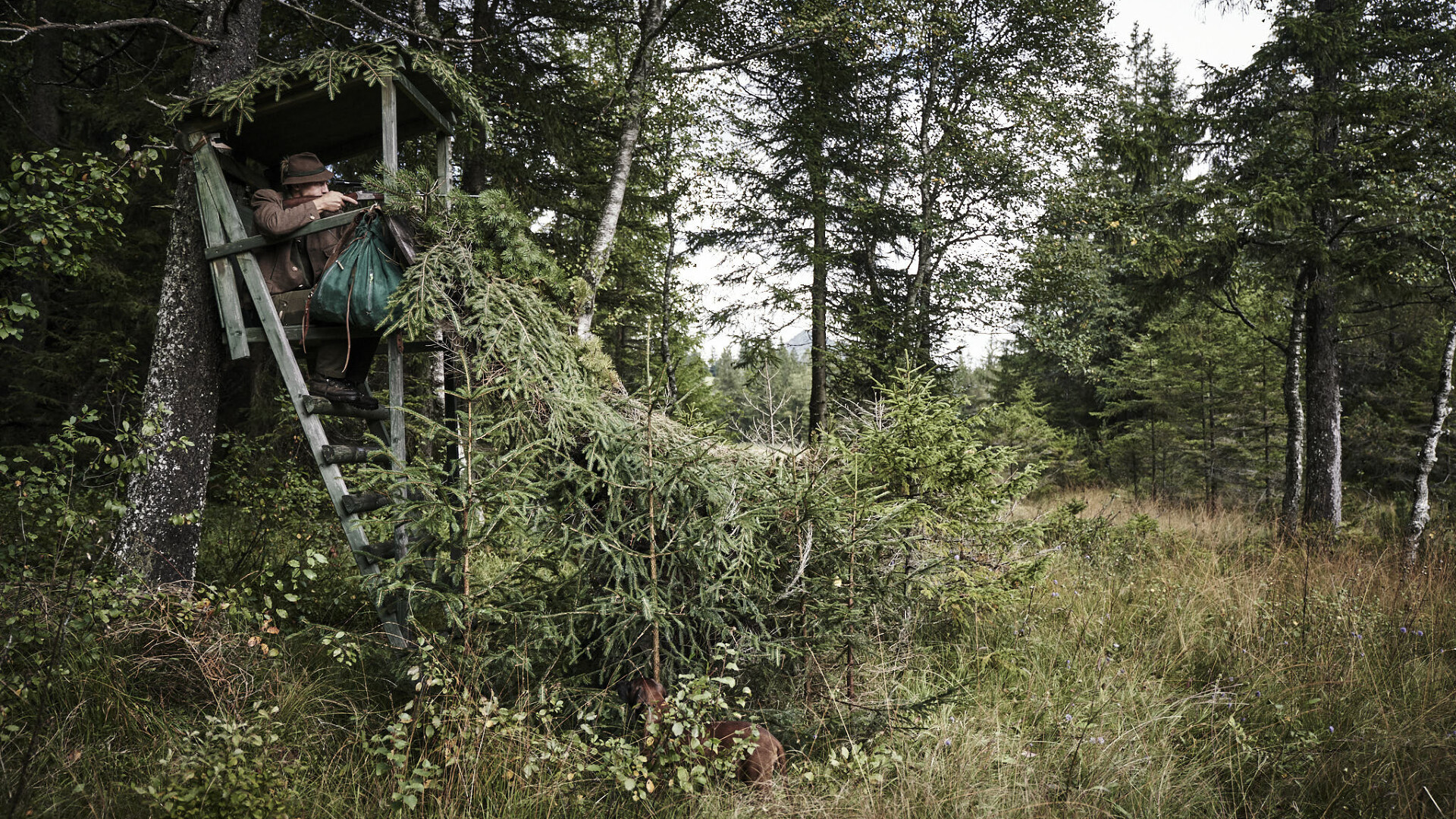 Wildwochen im Gourmethotel HUBERTUS Mountain Refugio