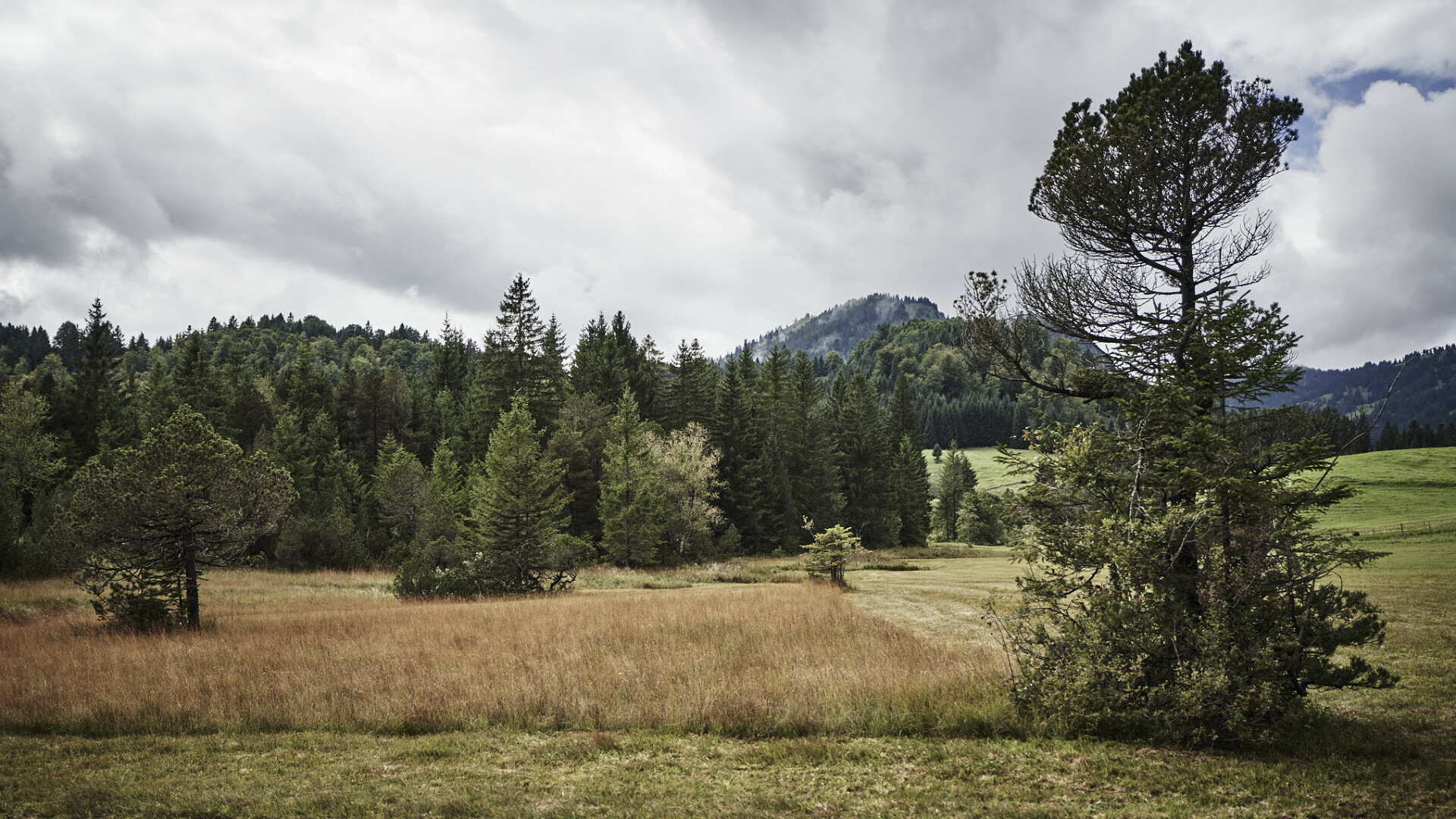 Urlaub im Oberallgäu im Hotel HUBERTUS Mountain Refugio