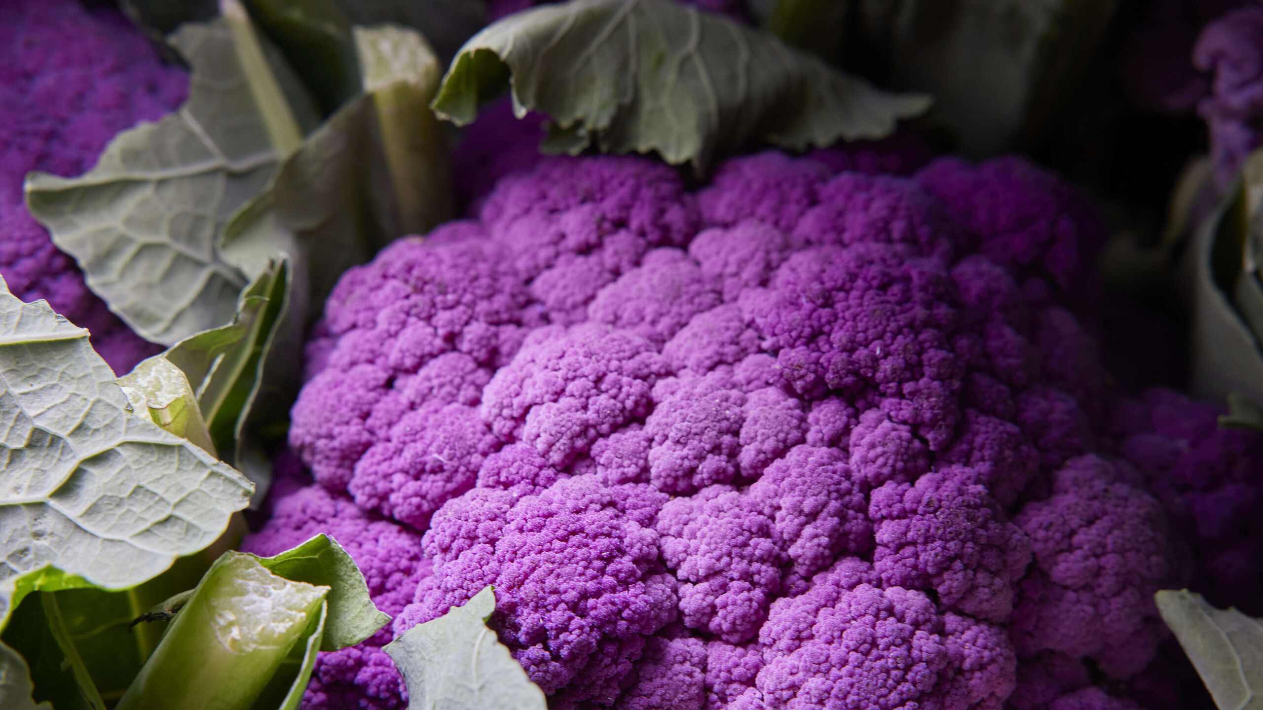 Bioland Kulinarik im Wellnesshotel HUBERTUS