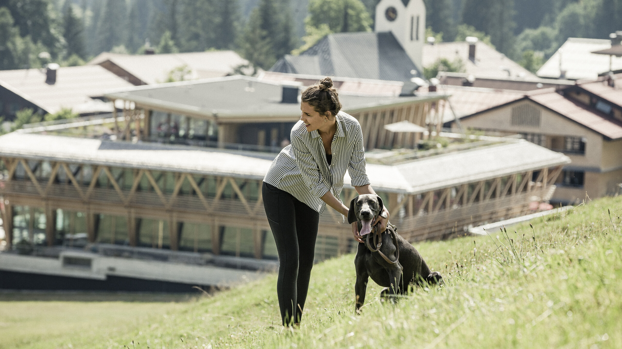 Hund in der Allgäuer Wiese im Urlaub